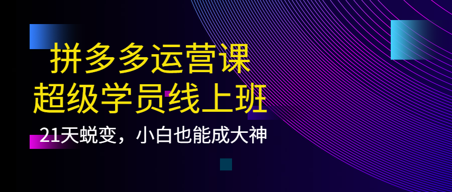 拼多多运营课：超级学员线上班，21天蜕变，小白也能成大神-启航创业网