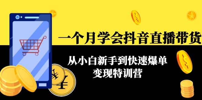 一个月学会抖音直播带货：从小白新手到快速爆单变现特训营(63节课)-启航创业网