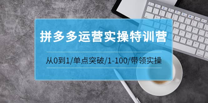 拼多多运营实操特训营：从0到1/单点突破/1-100/带领实操 价值2980元-启航创业网