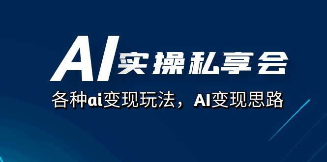 AI实操私享会，各种ai变现玩法，AI变现思路（67节课）-启航创业网