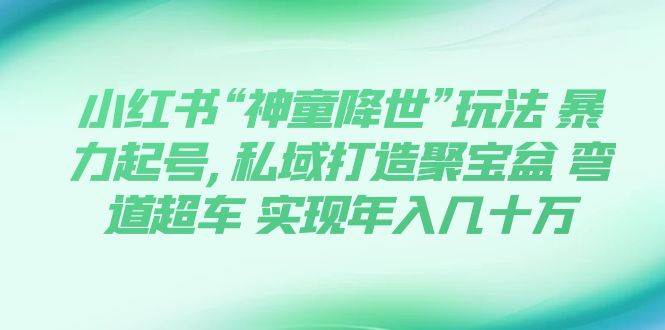 小红书“神童降世”玩法 暴力起号,私域打造聚宝盆 弯道超车 实现年入几十万-启航创业网