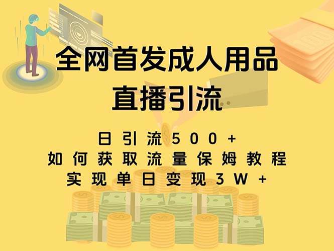 最新全网独创首发，成人用品直播引流获客暴力玩法，单日变现3w保姆级教程-启航创业网