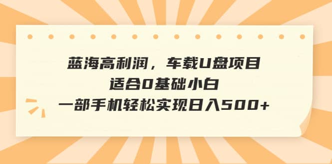 蓝海高利润，车载U盘项目，适合0基础小白，一部手机轻松实现日入500+-启航创业网