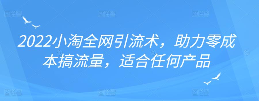 2022年小淘全网引流术，助力零成本搞流量，适合任何产品-启航创业网