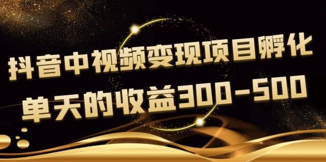 黄岛主《抖音中视频变现项目孵化》单天的收益300-500 操作简单粗暴-启航创业网