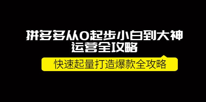 拼多多从0起步小白到大神运营全攻略-启航创业网