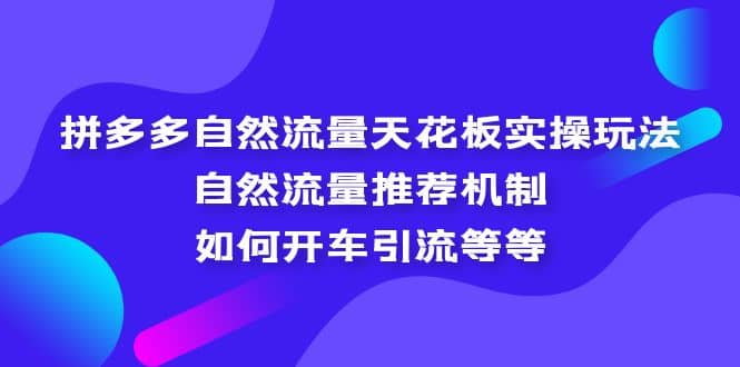 拼多多自然流量天花板实操玩法：自然流量推荐机制，如何开车引流等等-启航创业网