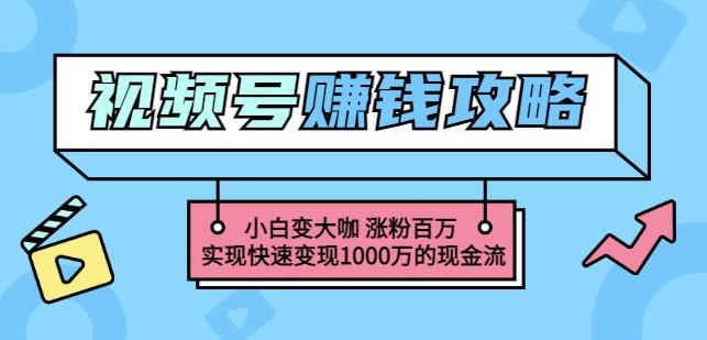 玩转微信视频号赚钱：小白变大咖涨粉百万实现快速变现1000万的现金流-启航创业网