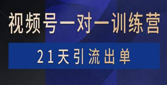 视频号训练营：带货，涨粉，直播，游戏，四大变现新方向，21天引流出单-启航创业网