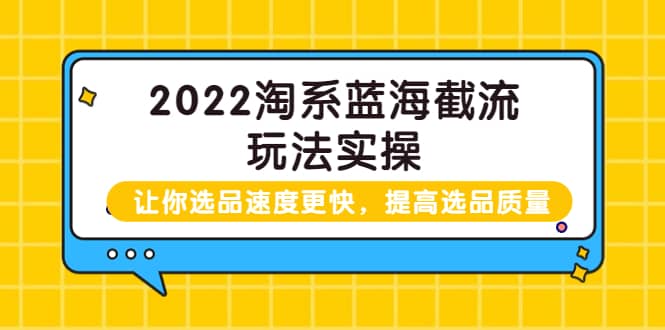 2022淘系蓝海截流玩法实操：让你选品速度更快，提高选品质量（价值599）-启航创业网