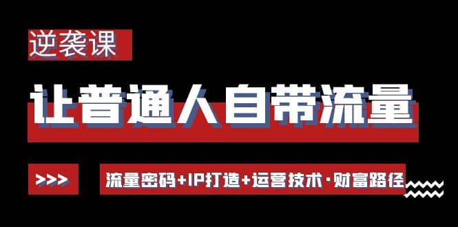 让普通人自带流量的逆袭课：流量密码+IP打造+运营技术·财富路径-启航创业网