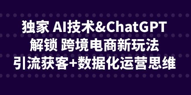 独家 AI技术ChatGPT解锁 跨境电商新玩法，引流获客+数据化运营思维-启航创业网