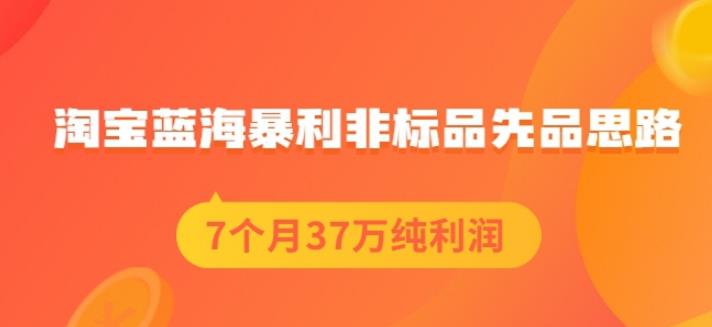 盗坤淘宝蓝海暴利非标品先品思路，7个月37万纯利润，压箱干货分享！【付费文章】-启航创业网