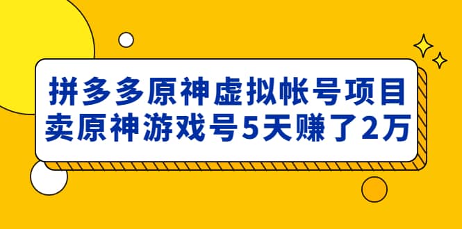 外面卖2980的拼多多原神虚拟帐号项目-启航创业网