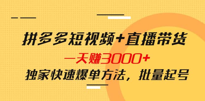 拼多多短视频+直播带货，一天赚3000+独家快速爆单方法，批量起号-启航创业网