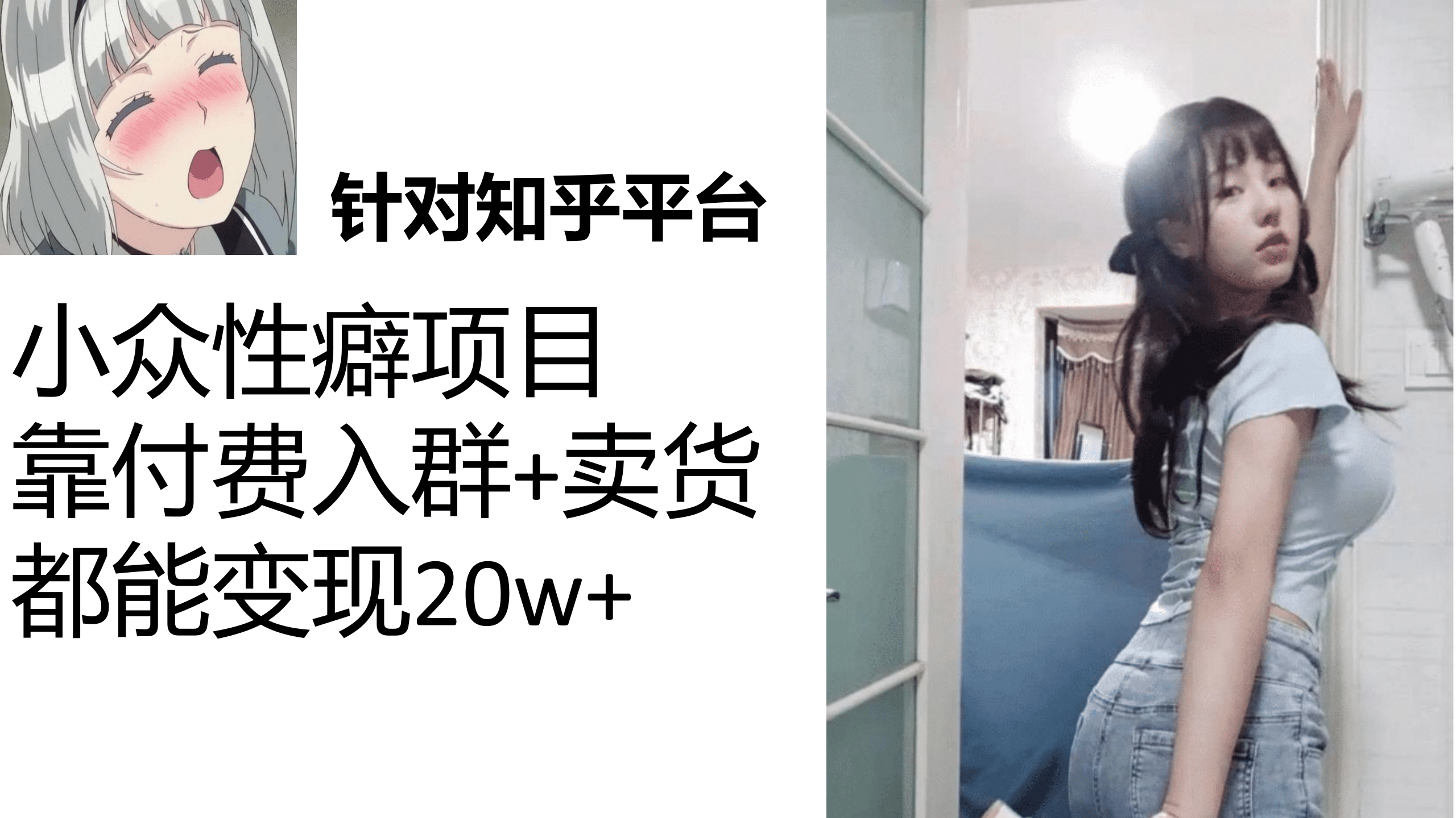 知乎小众性癖项目，Lsp的钱才是最好赚的，付费建群+卖货变现20w-启航创业网