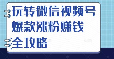 玩转微信视频号爆款涨粉赚钱全攻略，让你快速抓住流量风口，收获红利财富-启航创业网