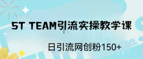 ST TEAM引流实操课，日引流网创粉100+-启航创业网