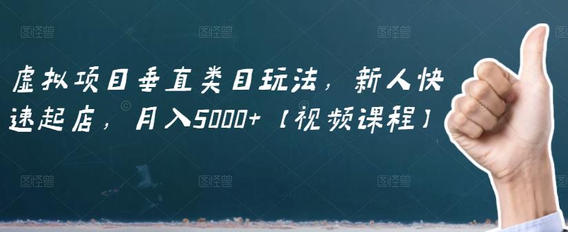 虚拟项目垂直类目玩法，新人快速起店，月入5000+【视频课程】-启航创业网