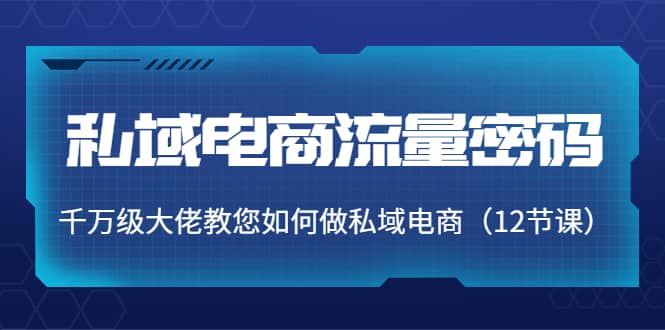 私域电商流量密码：千万级大佬教您如何做私域电商（12节课）-启航创业网