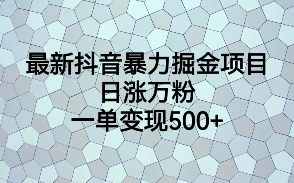 最火热的抖音暴力掘金项目，日涨万粉，多种变现方式，一单变现可达500+-启航创业网