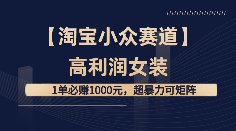 【淘宝小众赛道】高利润女装：1单必赚1000元，超暴力可矩阵-启航创业网