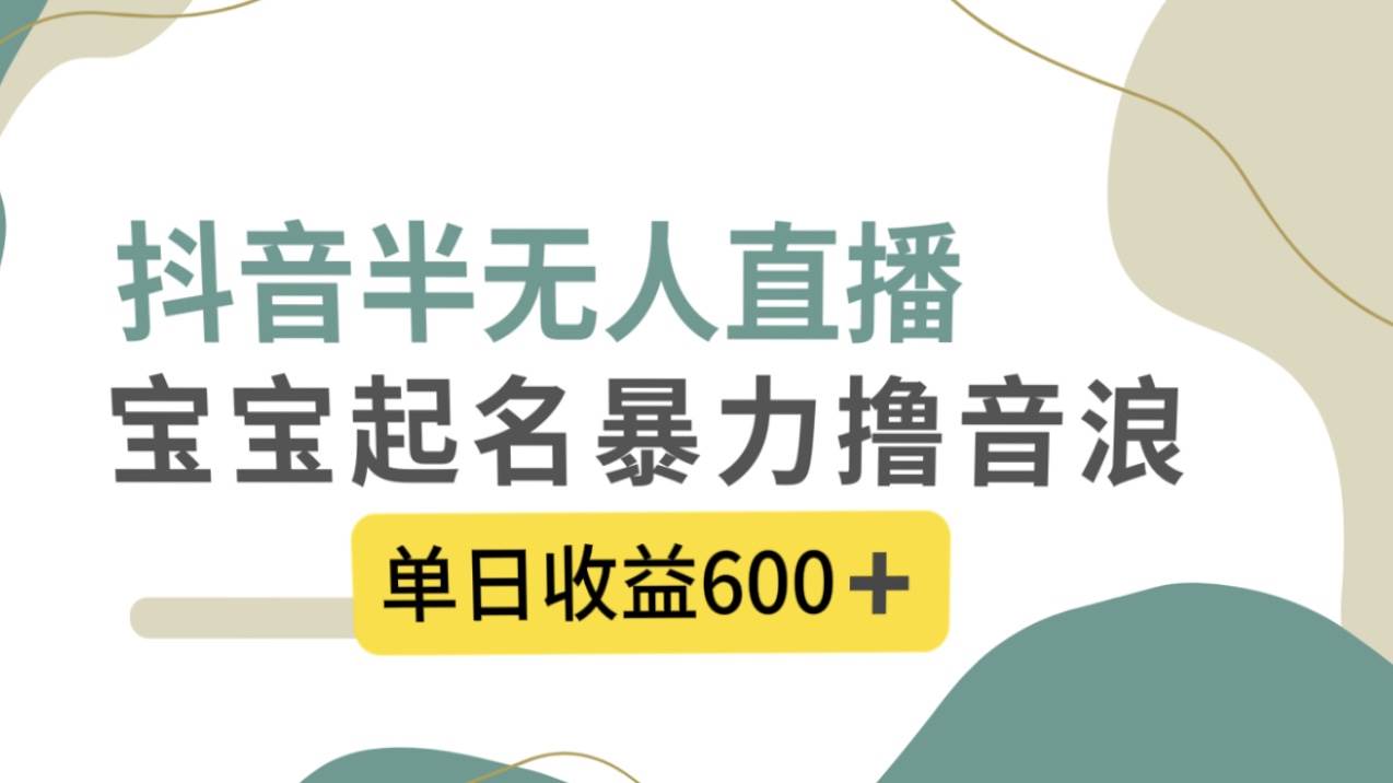 抖音半无人直播，宝宝起名，暴力撸音浪，单日收益600+-启航创业网