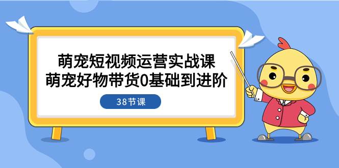 萌宠·短视频运营实战课：萌宠好物带货0基础到进阶（38节课）-启航创业网