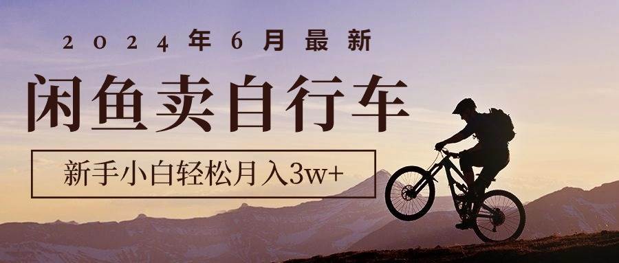 2024年6月最新闲鱼卖自行车，新手小白轻松月入3w+项目-启航创业网